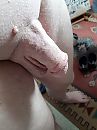 geschoren, foto 3000x4000, 4 reacties, 8 stemmen