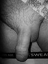 goeie morgen, foto 3000x4000, 12 reacties, 10 stemmen