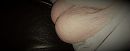 goeie morgen, foto 4000x1582, 6 reacties, 4 stemmen