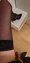 heels, foto 1944x4000, 2 reacties, 9 stemmen