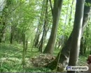 heerlijk gekomen, film 00:00:29, 25 reacties, 56 stemmen