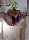 heerlijk, foto 1200x1599, 28 reacties, 130 stemmen