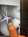 heerlijk die opgebonden tieten, foto 768x1024, 1 reacties, 5 stemmen