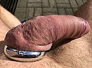 heerlijk in de zon, foto 4000x3000, 14 reacties, 39 stemmen