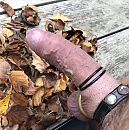 herfst!, foto 3000x3015, 11 reacties, 30 stemmen