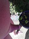 hoop, foto 1536x2048, 1 reacties, 9 stemmen