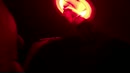 in de glory, film 00:00:25, 13 reacties, 130 stemmen