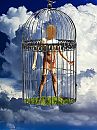 in lockdown, foto 1944x2592, 2 reacties, 7 stemmen