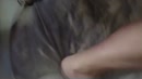 is m'n kut lekker geil?, film 00:00:00, 2 reacties, 3 stemmen