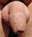 is dat niet schattig ?, foto 1846x2120, 3 reacties, 4 stemmen