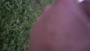 lekker buiten aan het spele, film 00:00:11, 1 reacties, 13 stemmen