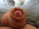 lekker achter de pc, foto 4000x3000, 12 reacties, 17 stemmen