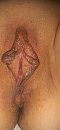 lekker glad geschoren..., foto 224x480, 26 reacties, 76 stemmen