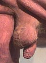 mmm, foto 260x351, 2 reacties, 5 stemmen
