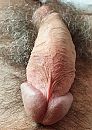 m'n pik, foto 2264x3165, 2 reacties, 7 stemmen
