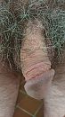 m'n pik, foto 2250x4000, 8 reacties, 16 stemmen