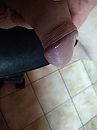 mooie eikel toch, foto 3000x4000, 0 reacties, 0 stemmen