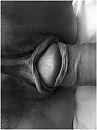 ...nothing like the real thing, foto 3000x4000, 22 reacties, 115 stemmen