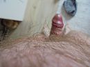 ochtend, foto 4000x3000, 10 reacties, 16 stemmen