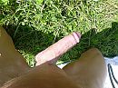 ontwaakt, foto 4000x3000, 2 reacties, 12 stemmen