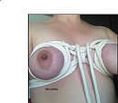 ook lekker...., foto 637x559, 20 reacties, 72 stemmen