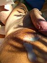 ooooo heerlijke ontlading, foto 3000x4000, 6 reacties, 16 stemmen