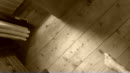 op pad, film 00:00:24, 2 reacties, 14 stemmen