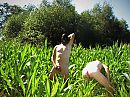 opdracht, foto 2576x1932, 8 reacties, 44 stemmen