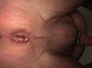 openstaande slettenkut, foto 3088x2320, 2 reacties, 6 stemmen