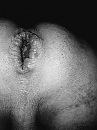 opgerekt door 8,5 cm dildo, foto 3000x4000, 8 reacties, 19 stemmen