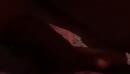 pijpslet, film 00:00:17, 6 reacties, 32 stemmen