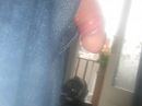 pik uit broek, foto 3072x2304, 2 reacties, 3 stemmen