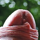 pik van onderen, foto 2382x2382, 3 reacties, 9 stemmen
