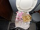 plas lingerie van linda, foto 4000x3000, 3 reacties, 8 stemmen
