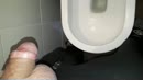 plassen, film 00:00:26, 22 reacties, 44 stemmen