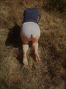 slavintraining op de Veluwe, foto 1200x1599, 3 reacties, 19 stemmen