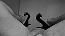sssst, foto 4000x2250, 2 reacties, 4 stemmen