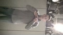stiekem op mijn werk, film 00:00:15, 2 reacties, 4 stemmen