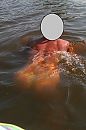 te heet om niet te zwemmen (3), foto 2102x3170, 4 reacties, 13 stemmen