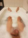titanic spelen, foto 3000x4000, 1 reacties, 4 stemmen