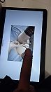 tribute, foto 2250x4000, 2 reacties, 4 stemmen