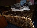 tyger bedje ggggrrrr., foto 4000x3000, 0 reacties, 4 stemmen