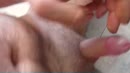 video 20, film 00:00:00, 14 reacties, 27 stemmen