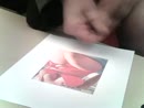 voor chantall, film 00:00:29, 5 reacties, 5 stemmen