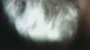 wat doet ze dat goed, film 00:00:24, 59 reacties, 226 stemmen