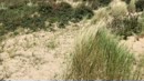 wat heerlijk om te zien......, film 00:00:00, 91 reacties, 491 stemmen