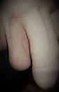 weeral, foto 2317x3575, 10 reacties, 6 stemmen