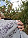 wil je ze ook voelen, foto 3000x4000, 4 reacties, 11 stemmen