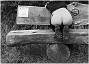 ...wilde dingen, foto 3094x2250, 11 reacties, 64 stemmen