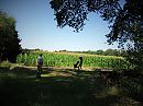 worden we betrapt......., foto 4000x3000, 13 reacties, 43 stemmen